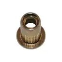 Заклепка с внутренней резьбой цилиндрический борт M6 250 шт.