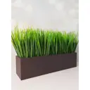 Осока в деревянном ящике Подар.Ок Home шоколад 9x9x35 см