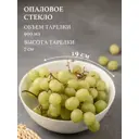 Набор салатников 6 шт Кулинарк Сфера 20x19.50 см опаловое стекло цвет белый