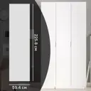 Дверь для шкафа Лион София 59.4x225.8x1.8 см ЛДСП цвет белый матовый
