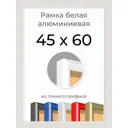 Рамка Первое ателье Niel-2wg-45x60 45x60 см металл и пластик