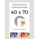 Рамка Первое ателье Niel-2wg-40x70 40x70 см металл и пластик