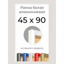 Рамка Первое ателье Niel-2wg-45x90 45x90 см металл и пластик