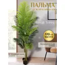 Искусственная пальма 164233958 170 см латекс зеленый