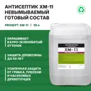 Антисептик невымываемый Prosept 065-10 10 л