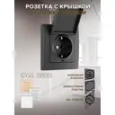 Розетка встраиваемая Arte milano SET06-1-41-1.black с заземлением шторками и крышкой цвет черный