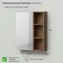 Зеркало шкаф в ванную Итана Alta 60 600x160x750 Дуб бурбон