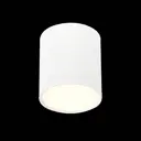 Светильник точечный накладной светодиодный St luce St113.532.05 St113.532.05 5 Вт нейтральный белый свет цвет белый