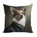 Декоративная подушка Zaberite Корги Генералы 3425 40x40 см