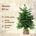 Ель новогодняя искусственная National tree company ЛС-80 Лесная 72 см