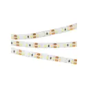 Светодиодная лента ARLIGHT 015730(2) SMD 2835 120 диод/8.4 Вт/м 12 В IP65 5 м теплый белый свет