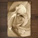 Ковер Erdenet Hunnu R 6A973 127S 200x300 см шерсть