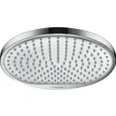 Душевая лейка Hansgrohe 26723000