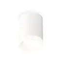 Светильник точечный накладной Ambrella light Xs7421024 2 м² цвет белый