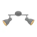 Спот поворотный Arte Lamp Jovi A1677PL-2GY 2 лампы цвет серый