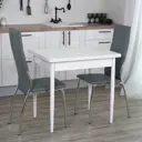 Кухонный стол прямоугольный Frenesie Столпируэтбелый 60x80 см лдсп цвет белый