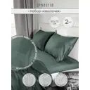 Наволочка Denastia BASIC COLLECTION C060268 70x50 см сатин 2 шт цвет зеленый