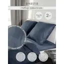 Наволочка Denastia BASIC COLLECTION C060273 70x70 см сатин 2 шт цвет синий