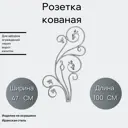 Кованый элемент Розетка Ван-Упак (180) 100x47 см