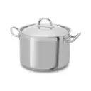 Кастрюля с крышкой Silampos Наутилус 632115596618, 3 л
