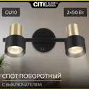 Спот поворотный Citilux Cl505621 2 лампы 3 м² цвет черный