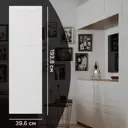 Дверь глухая для шкафа Лион Реймс 39.6x193.8x1.6 см ЛДСП цвет белый