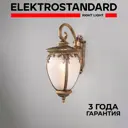 Светильник настенный уличный Elektrostandard GLYF-8024D цвет черное золото