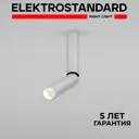 Светильник точечный светодиодный накладной Elektrostandard 25029/LED Pika 1 м² нейтральный белый свет цвет серебро