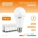 Набор ламп светодиодных Gauss Elementary E27 25 Вт A67 груша 2000 Лм 3000 K теплый белый свет, 10 штук