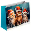 Подарочный пакет Новогодние шапочки 21x30x14 см разноцветный