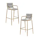 Комплект барных стульев 2 шт Dobrin Miller gold 49x103x58 см цвет светло-серый