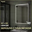 Зеркало Teymi Helmi ЗЛП28 60x80 LED Black Edition, сенсор на