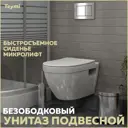 Унитаз подвесной Teymi T40804 безободковый с сиденьем микролифт