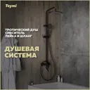 Душевая стойка Teymi Iva t10226 со смесителем 1 режимная цвет черный