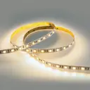 Светодиодная лента Eleganz Lux 5050 60 LED (14.4W/M) 12V нейтральная 4500К IP20, 5м