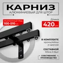 Карниз двухрядный KarnizPRO Лпкк-420-2-15_ч, 420 см металл, цвет черный
