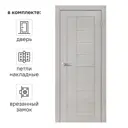 Дверь межкомнатная со стеклом Легда-29 90x200 см Hardflex серый с замком и петлями