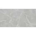 Керамогранит Staro Patricia Grey Matt 76386031 60x120см цвет серый/серебристый