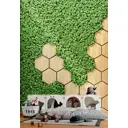 Фотообои флизелиновые Dekor vinil Бежевые 3d соты с зеленью 300x270 см 9253dv