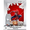 Фотообои Foto Print Человек паук 10-206-А-2-2.7, 270x200 см