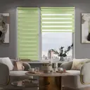 Рулонная штора EVOLI 73x160 75205 цвет фисташковый