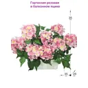 Искусственное растение Фитопарк Гортензия розовая в ящике 35 см