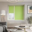 Рулонная штора Evoli Однотонная классика 34x160 см цвет зеленый