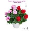 Искусственные цветы Фитопарк Герань красно-розовая в кашпо 40 см