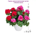 Искусственные цветы Фитопарк Герань красно-малиновая в кашпо 40 см