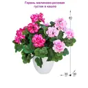 Искусственные цветы Фитопарк Герань малиново-розовая в кашпо