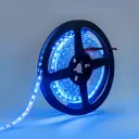 Светодиодная лента Eleganz Lux 2835 120 LED (9.6W/M) 12V СИНЯЯ IP20, 5м