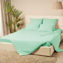 Простыня Kupu-kupu 1089248, 160x200 см, трикотаж, на резинке