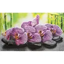 Комплект панелей ПВХ Grace Орхидея ванда 1002x602мм 0.6м² 8шт