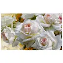 Постер Русская коллекция "Белые розы" 64x104 см